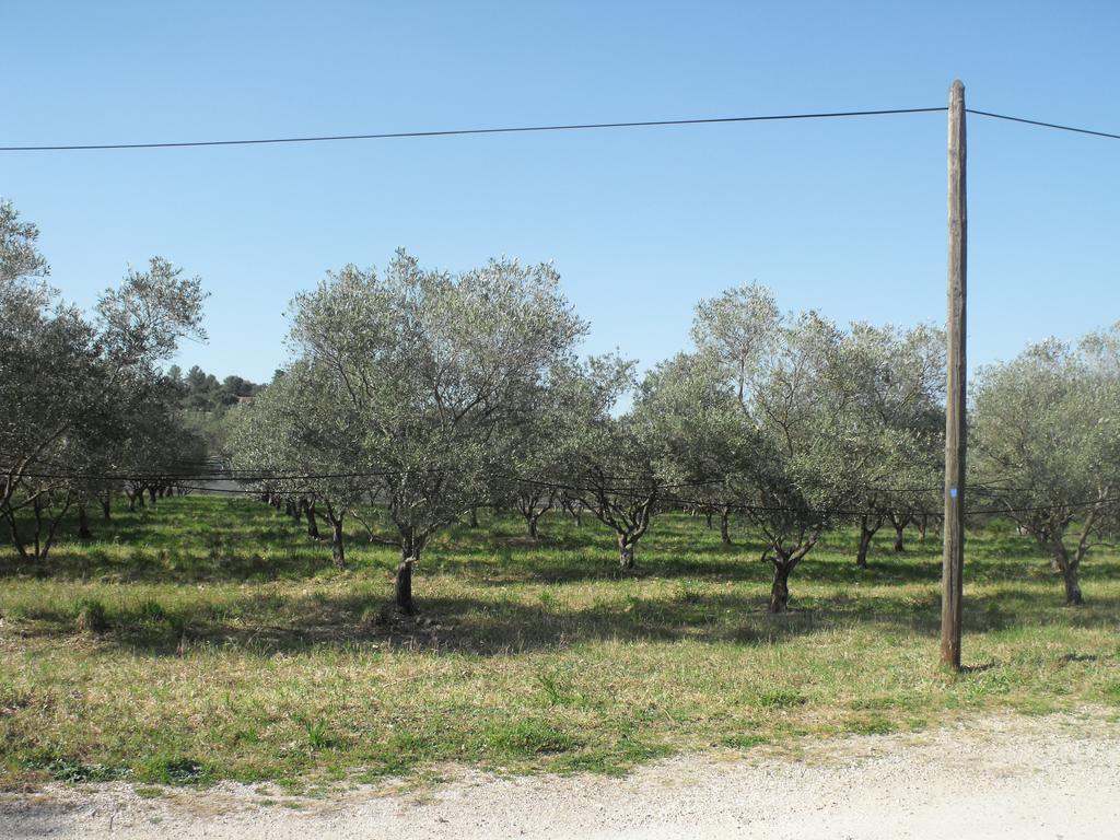 Domaine De La Marseillaise Lejlighed La Crau Værelse billede